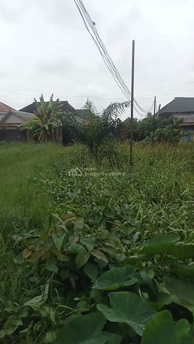 Bonanza: Full Plot of Bare Land, Obawole, Ogba, Ikeja, Lagos, Residential Land for Sale