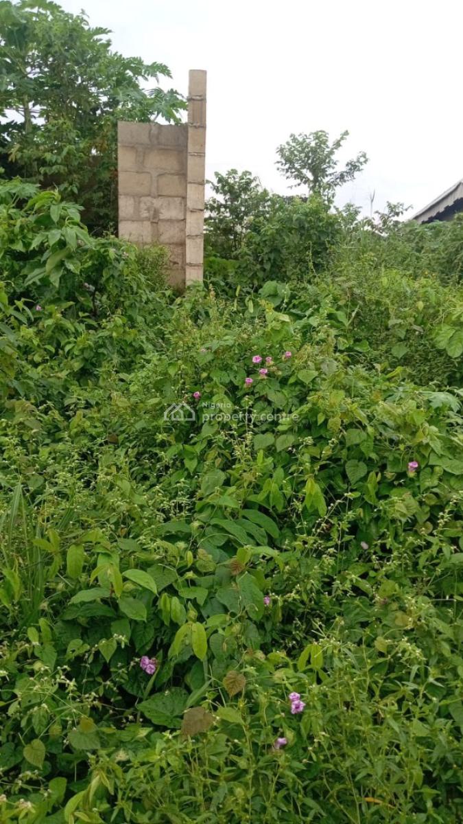 60 Acres of Land, Salabo By Caleb University  Ikorodu, Imota, Ikorodu, Lagos, Mixed-use Land for Sale