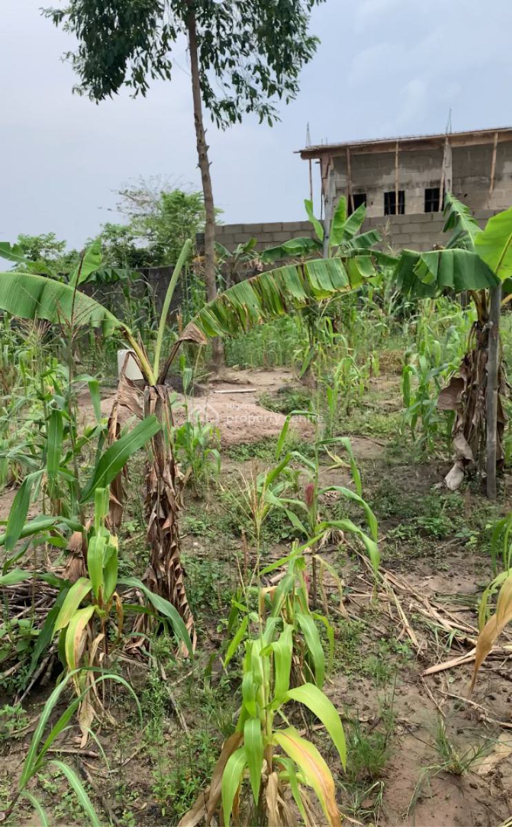 Dry Plot of Land, New Road, Badore, Ajah, Lagos, Mixed-use Land for Sale