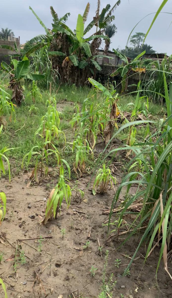 Dry Plot of Land, New Road, Badore, Ajah, Lagos, Mixed-use Land for Sale