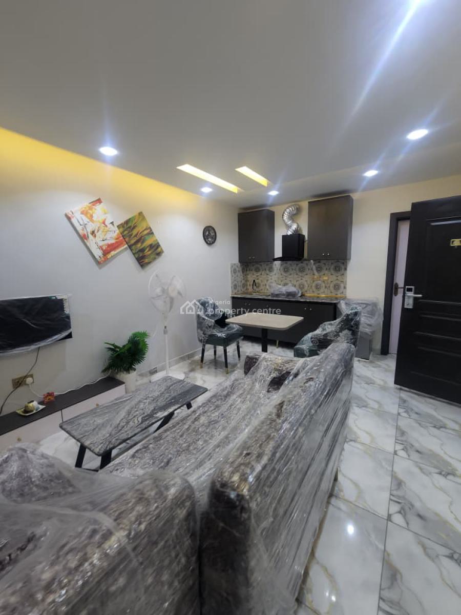 Luxurious Fully Furnished Executive 1 Bedroom, Akoka, Yaba, Lagos, Mini Flat (room and Parlour) for Rent
