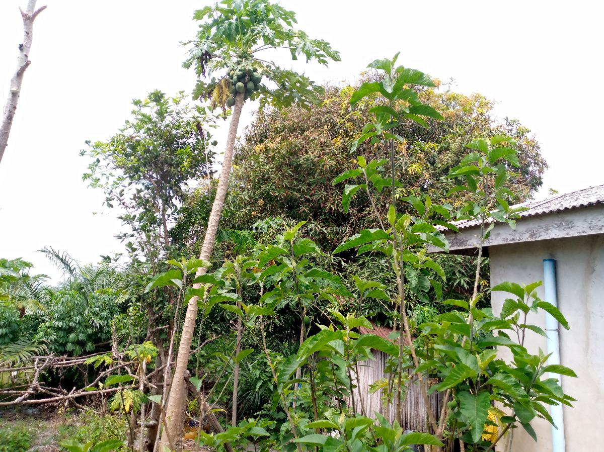 2 Bedroom House, 3, Opposite Inec Office, Orimedu, Ibeju-lekki, Orimedu, Ibeju Lekki, Lagos, Detached Bungalow for Sale