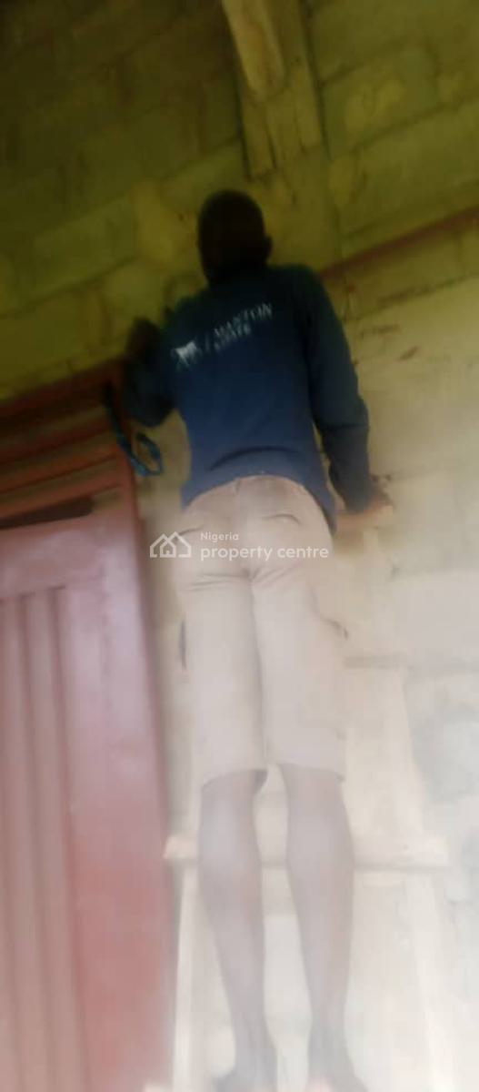 Farm Land with Buildings (farmstead), Adepegba Road, Olodo Town, Odeda, Ogun, Factory for Sale