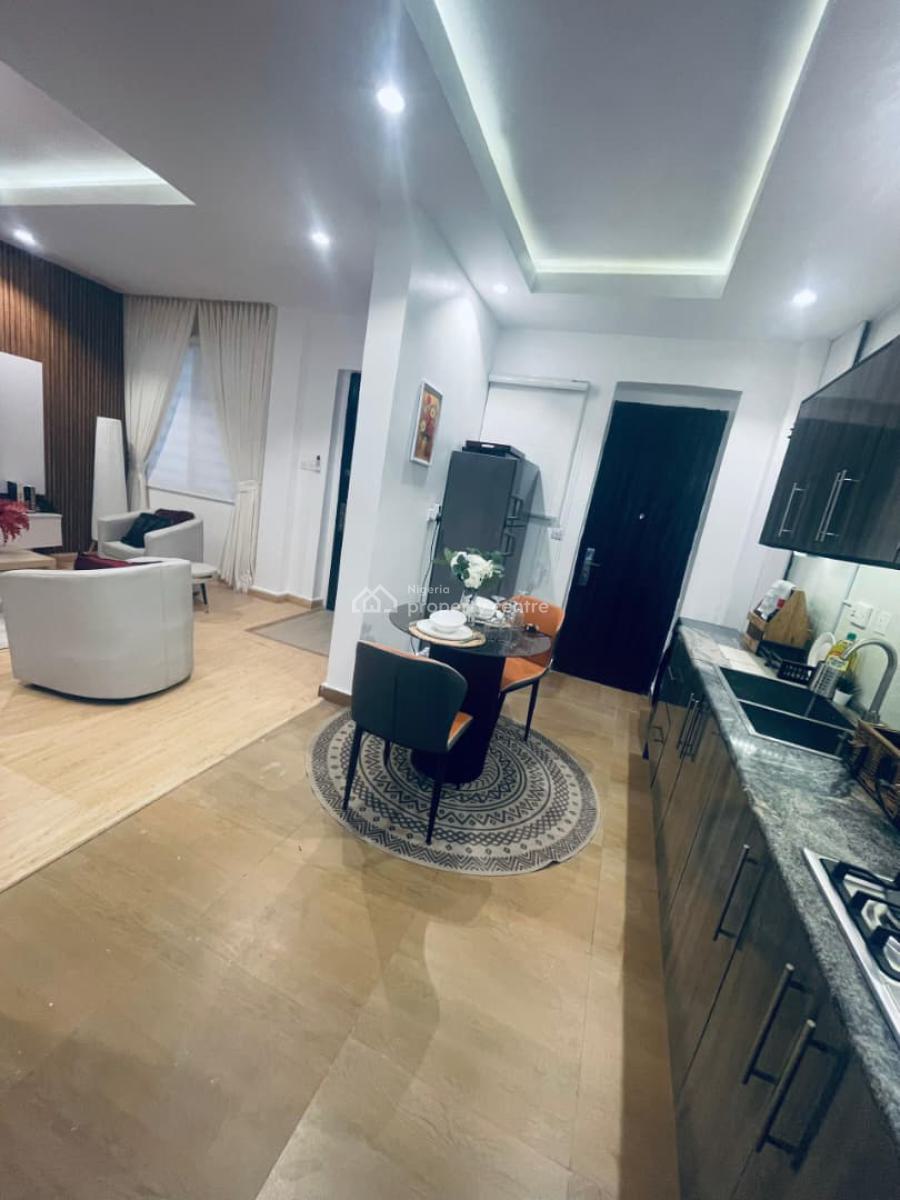 Renovated 2bedroom Fully Serviced and Furnished Apartment, Victoria Island (vi), Lagos, Flat / Apartment for Rent