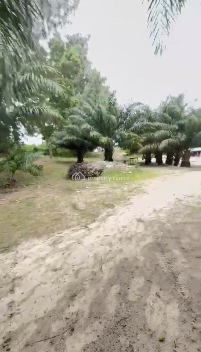 5,291 Sqm Prime Waterfront Land, Banana Island, Ikoyi, Lagos, Mixed-use Land for Sale