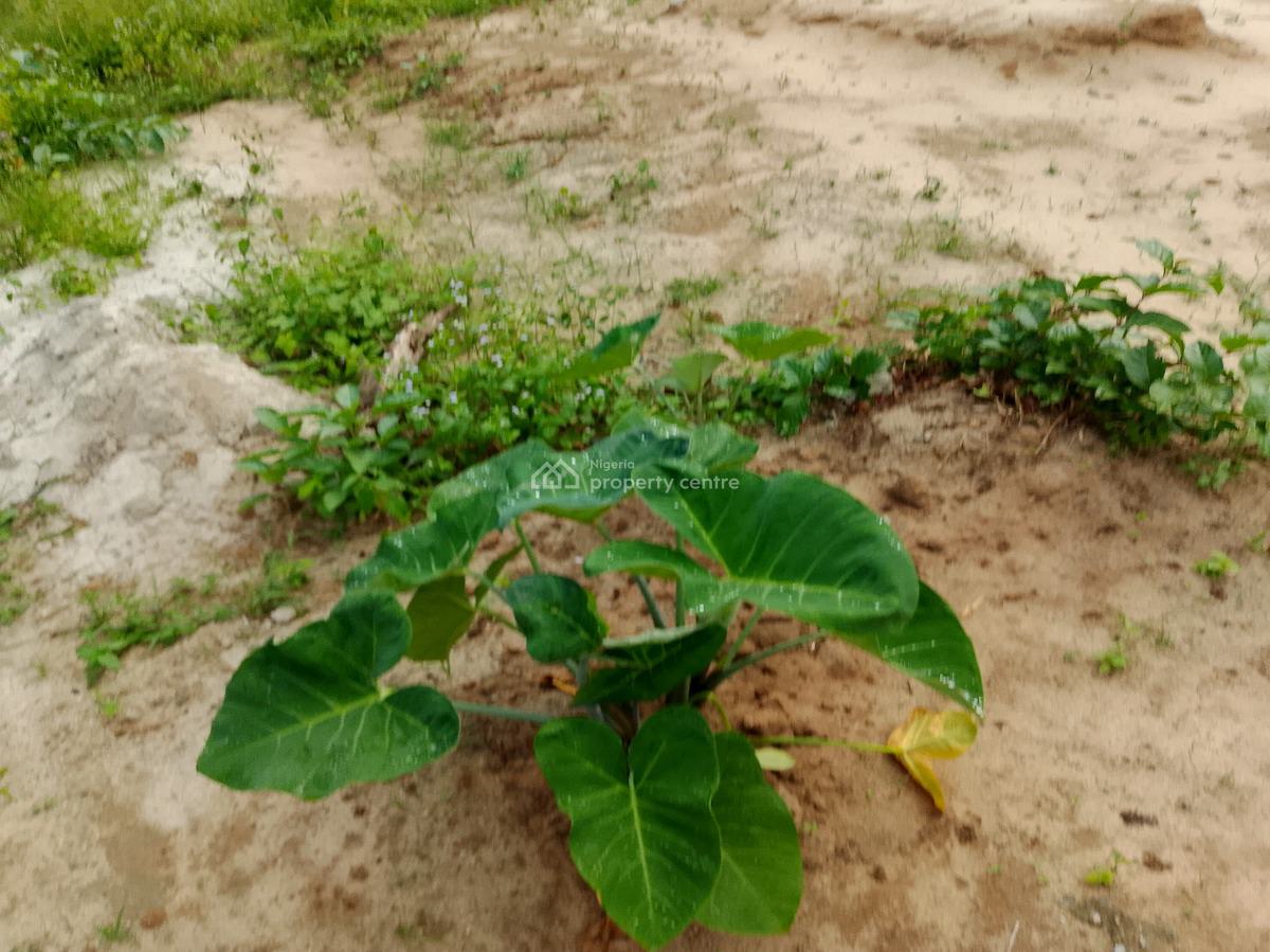 a Serviced Plot of Land, Royal Garden Estate, Ajah, Lagos, Residential Land for Sale