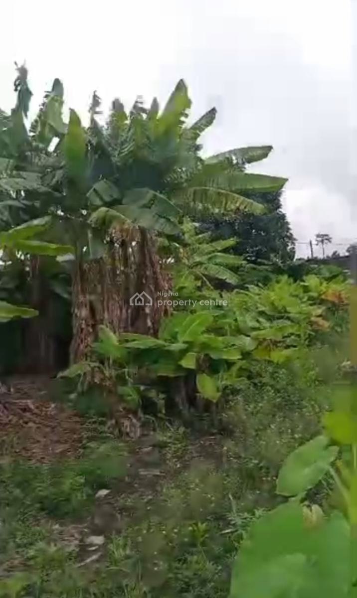 Corner Piece of Dry Land Available Within a Developed Fast Growing Are, Secured, Developed Place, Ilaje, Ajah, Lagos, Residential Land for Sale