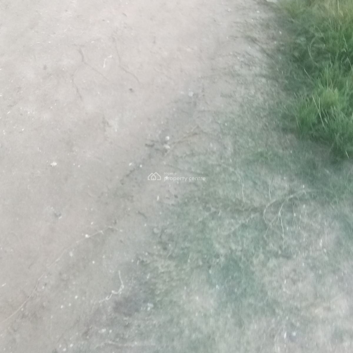 1000 Acres of Land at Snake Island Lagos Is a Place You Can, for Sales 1000 Acres of Land at Snake Island Lagos Is a Place You Can, Awoyaya, Ibeju Lekki, Lagos, Residential Land for Sale