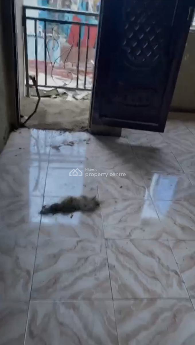 Newly Built 2 Bedroom Flat, Oregun, Ikeja, Lagos, Flat / Apartment for Rent