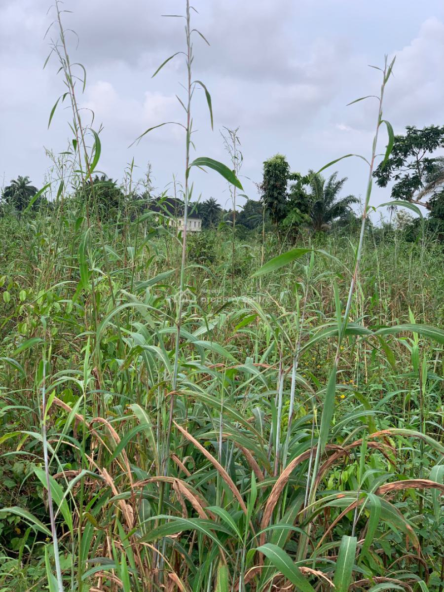 a Parcel of Land, Nung Ette, Uyo, Akwa Ibom, Residential Land for Sale