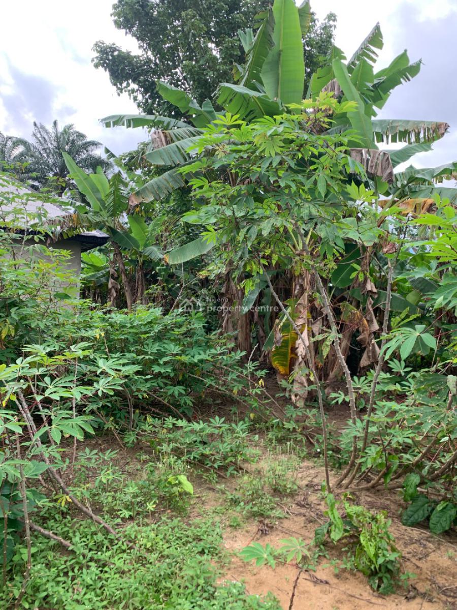 a Parcel of Land, Nung Ette, Uyo, Akwa Ibom, Residential Land for Sale