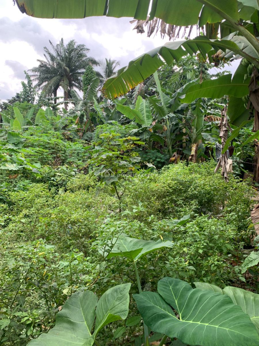 a Parcel of Land, Nung Ette, Uyo, Akwa Ibom, Residential Land for Sale