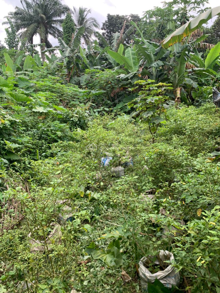 a Parcel of Land, Nung Ette, Uyo, Akwa Ibom, Residential Land for Sale