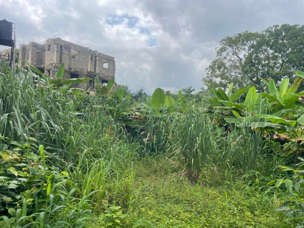 Buy & Build Land  in Modern Market Estate, Owerri Govt Allocation, Imo Modern Market Layout Extension, Irete, Owerri West, Imo, Mixed-use Land for Sale