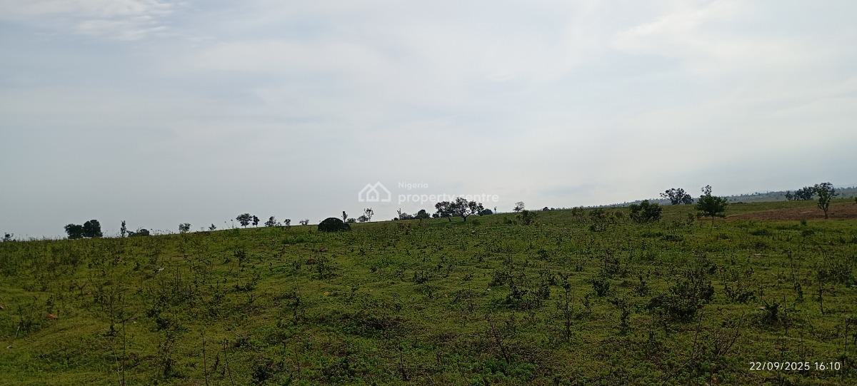 500 Hectares Farmland in Nasarawa, Karu, Nasarawa, Land for Sale