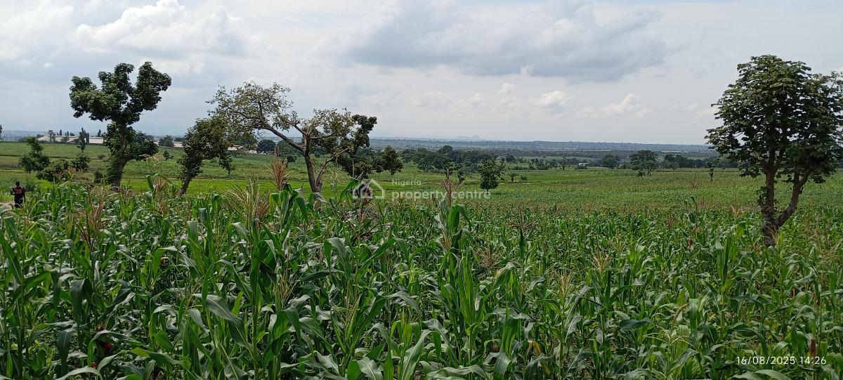 1 Hectare Farmland, Karu, Nasarawa, Commercial Land for Sale