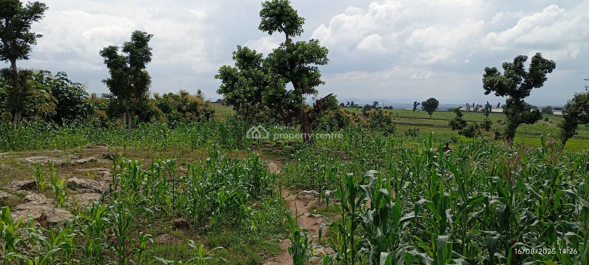 1 Hectare Farmland, Karu, Nasarawa, Commercial Land for Sale