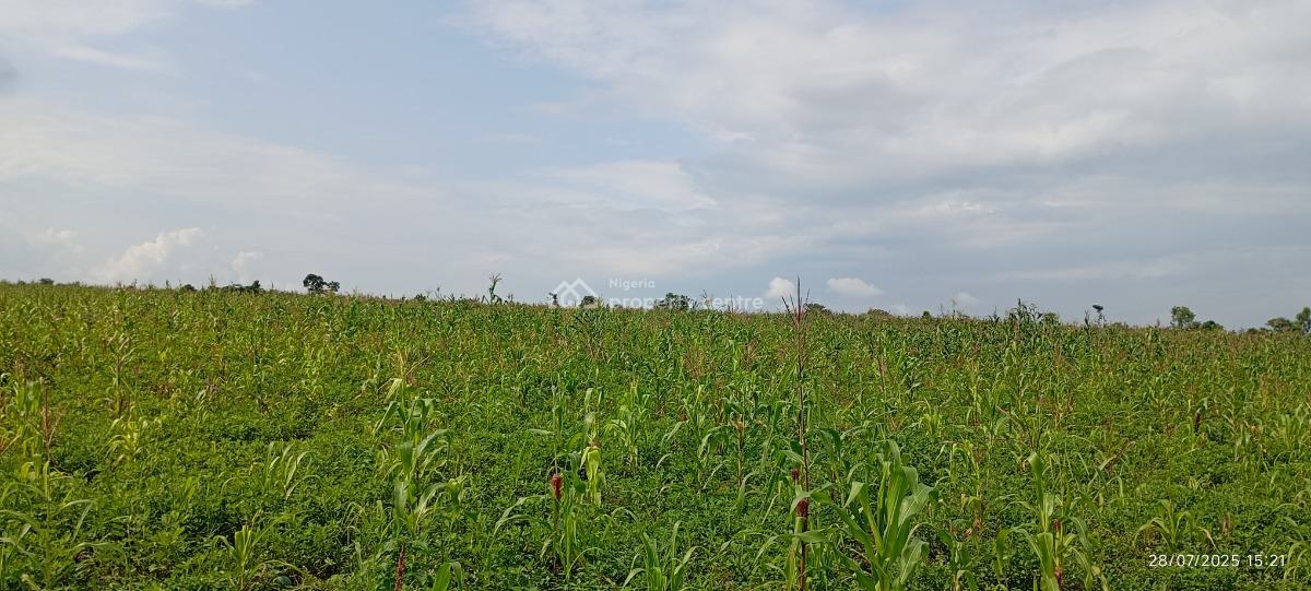 1 Hectare Farmland, Karu, Nasarawa, Commercial Land for Sale