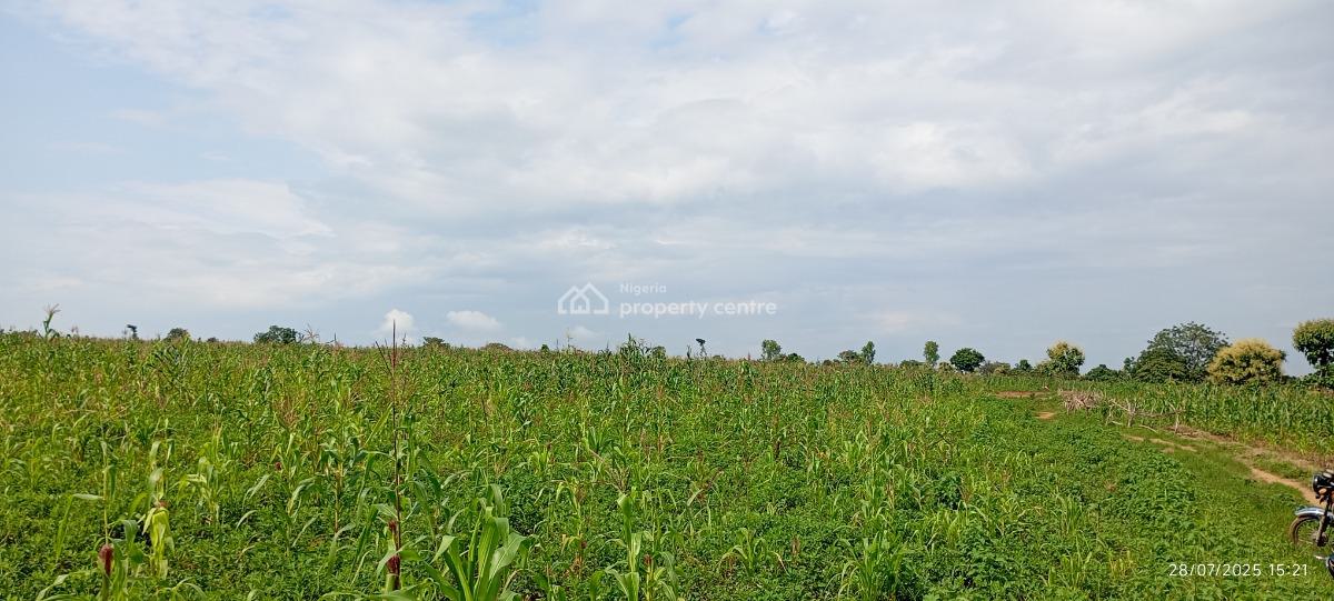 1 Hectare Farmland, Karu, Nasarawa, Commercial Land for Sale