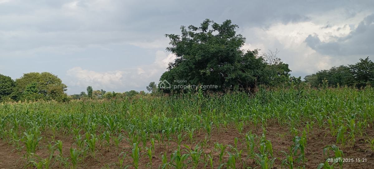 1 Hectare Farmland, Karu, Nasarawa, Commercial Land for Sale