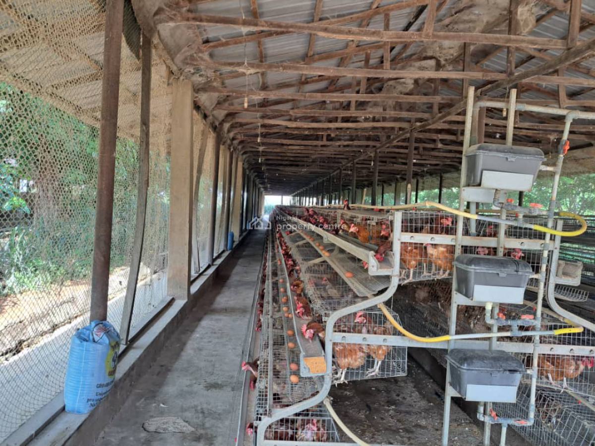 a Massive 10 Hectares Ultra Modern Full Function Poultry Farm Is Avail, Masaka, Karu, Nasarawa, Factory for Sale