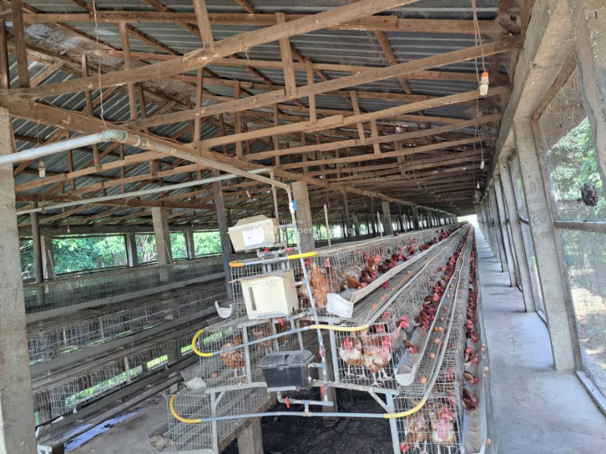 a Massive 10 Hectares Ultra Modern Full Function Poultry Farm Is Avail, Masaka, Karu, Nasarawa, Factory for Sale