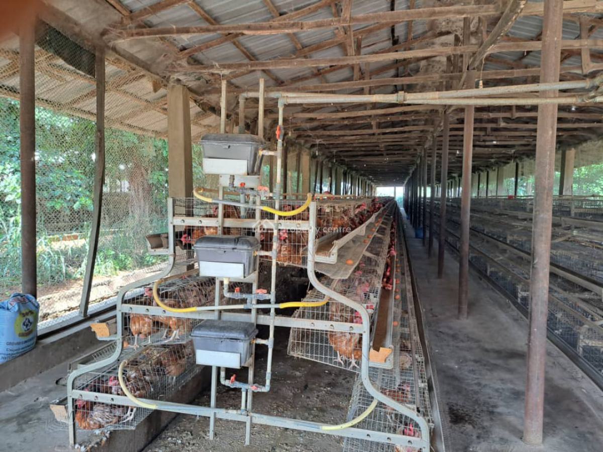 a Massive 10 Hectares Ultra Modern Full Function Poultry Farm Is Avail, Masaka, Karu, Nasarawa, Factory for Sale