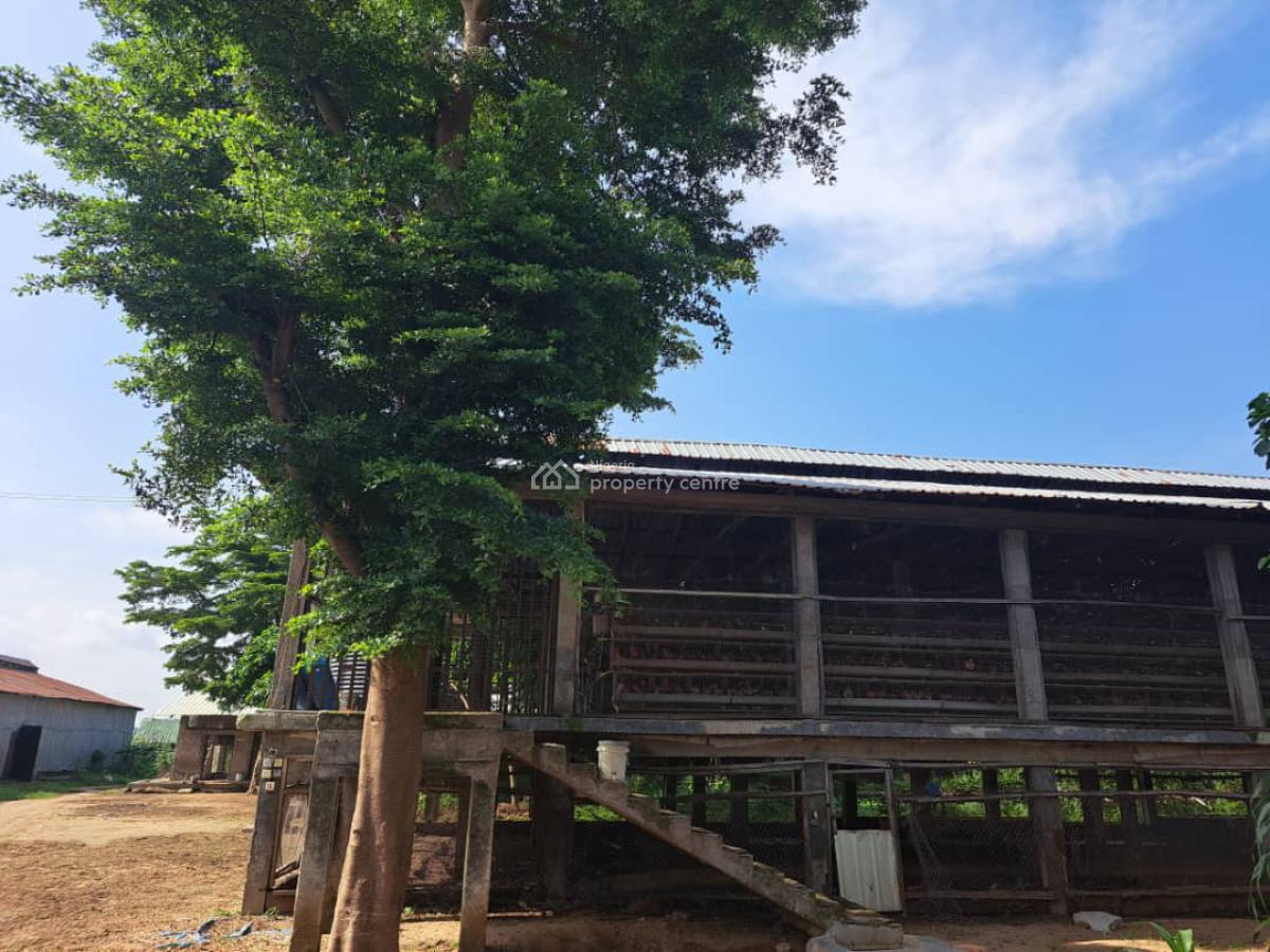 a Massive 10 Hectares Ultra Modern Full Function Poultry Farm Is Avail, Masaka, Karu, Nasarawa, Factory for Sale