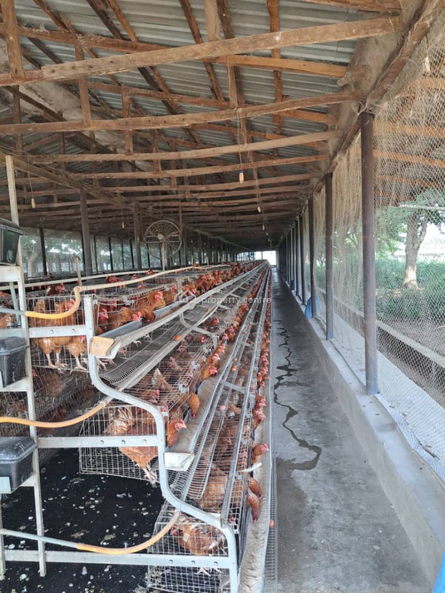 a Massive 10 Hectares Ultra Modern Full Function Poultry Farm Is Avail, Masaka, Karu, Nasarawa, Factory for Sale
