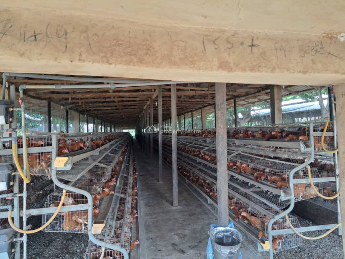 a Massive 10 Hectares Ultra Modern Full Function Poultry Farm Is Avail, Masaka, Karu, Nasarawa, Factory for Sale