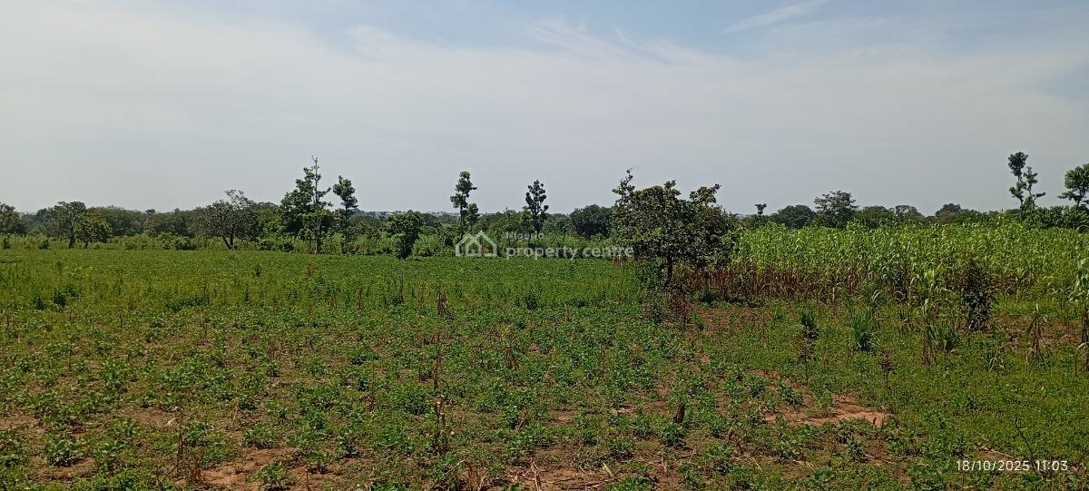 a Massive 20 Hectares Farmland, Gora, Karu, Nasarawa, Commercial Land for Sale