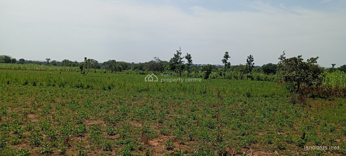 a Massive 20 Hectares Farmland, Gora, Karu, Nasarawa, Commercial Land for Sale