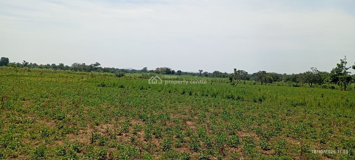 a Massive 20 Hectares Farmland, Gora, Karu, Nasarawa, Commercial Land for Sale