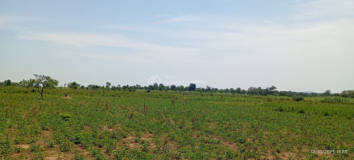 a Massive 20 Hectares Farmland, Gora, Karu, Nasarawa, Commercial Land for Sale