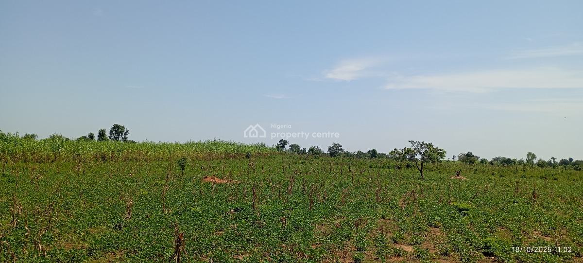 a Massive 20 Hectares Farmland, Gora, Karu, Nasarawa, Commercial Land for Sale