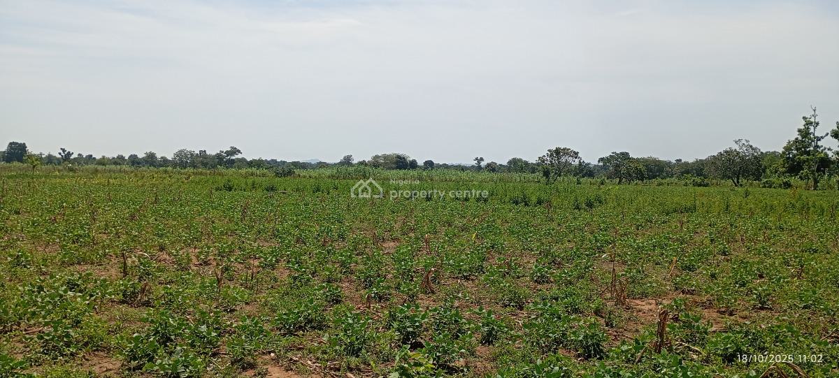 a Massive 20 Hectares Farmland, Gora, Karu, Nasarawa, Commercial Land for Sale