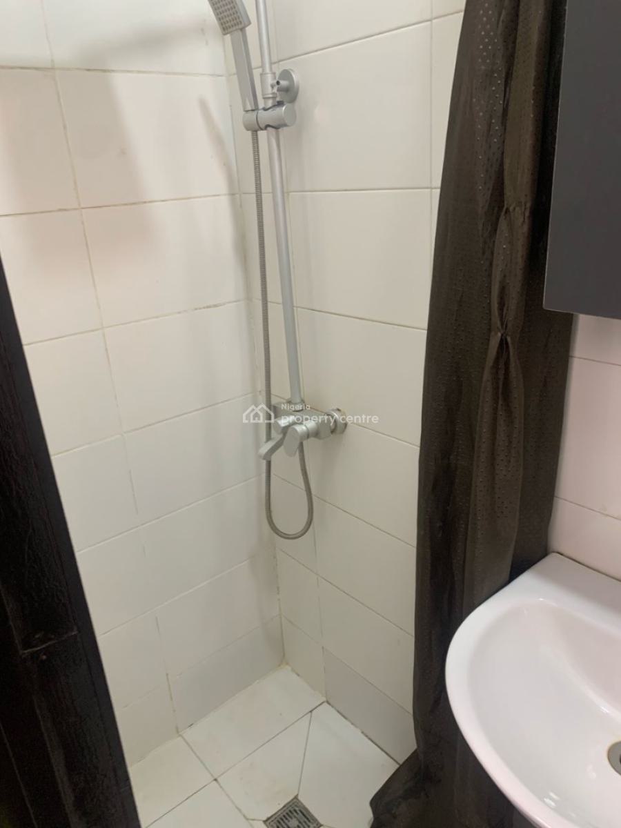 Exquisite Fully Furnished Studio Apartment, Ikate, Ikate, Lekki, Lagos, Self Contain (single Rooms) for Rent