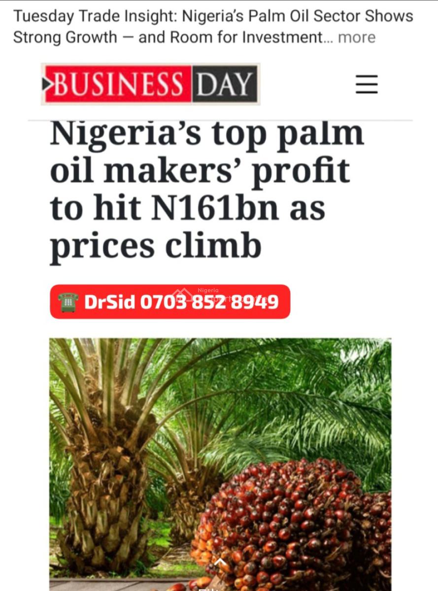 Earn Yearly By Investing in Oil Palm Business, Aso Ilobi Road, Ewekoro, Ogun, Mixed-use Land for Sale