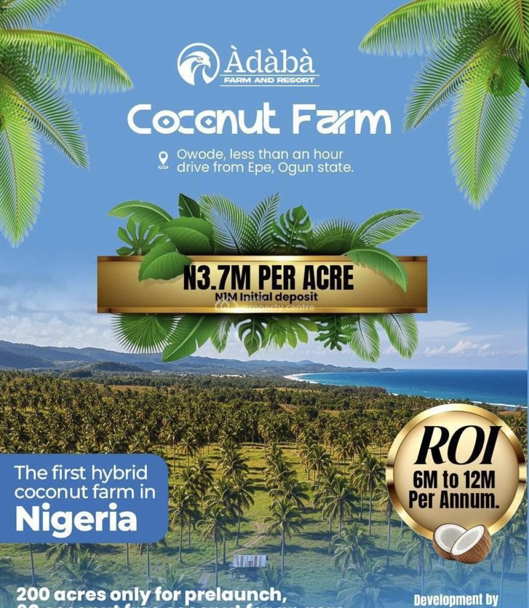 Affordable Land for Farming with Yearly Earning (coconut Farm), Adaba Dove Located Owode 1hour Drive From Epe Tollgate/roundabout, Ijebu Ode, Ogun, Land for Sale