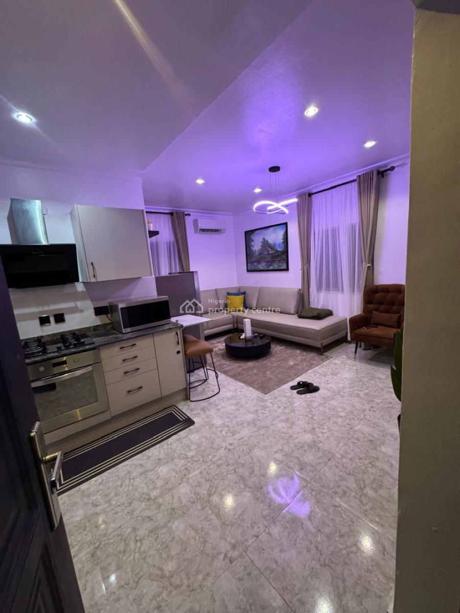 a Furnished & Serviced 1 Bedroom  Apartment, Parkview, Ikoyi, Lagos, Mini Flat (room and Parlour) for Rent