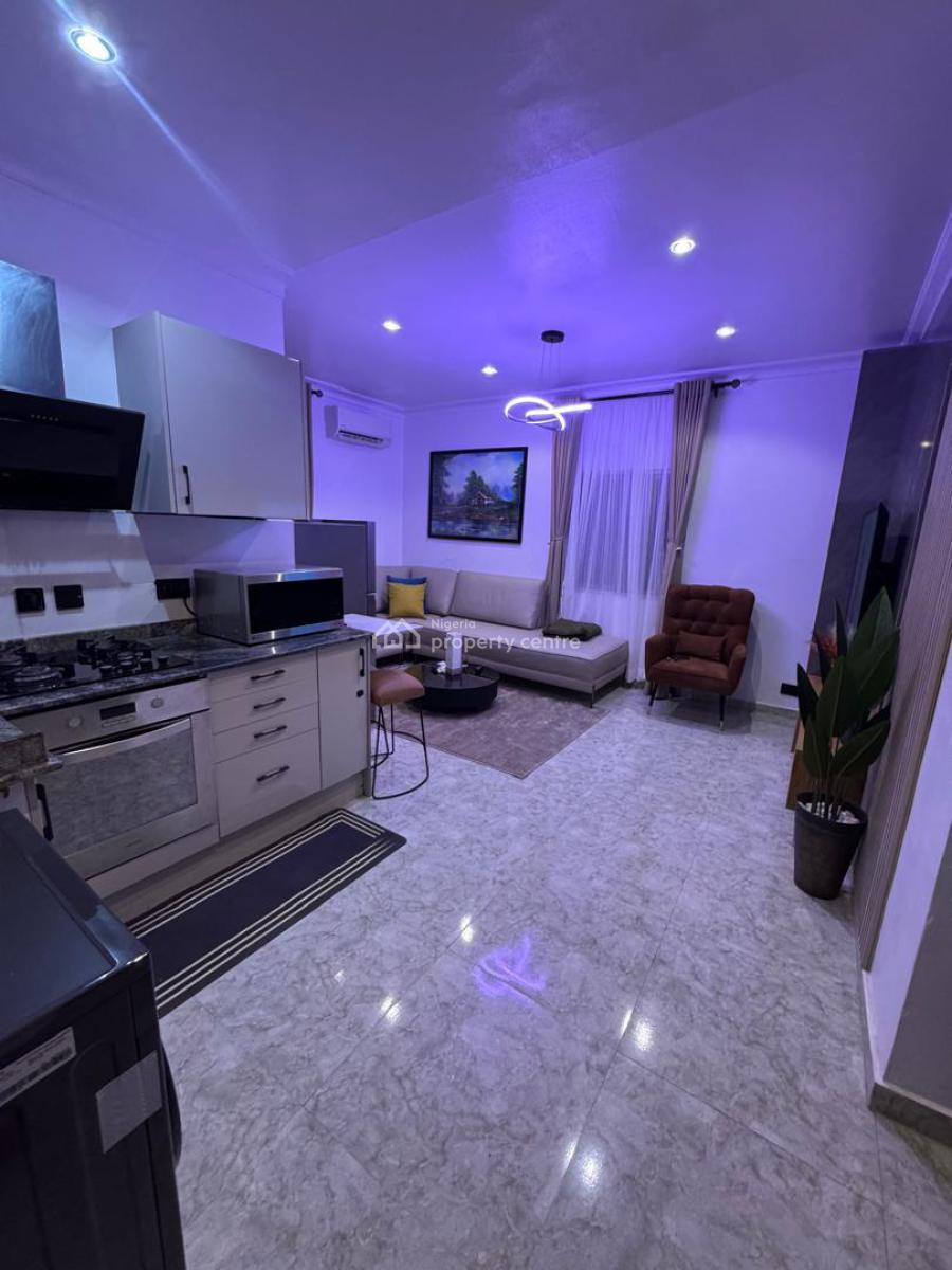 a Furnished & Serviced 1 Bedroom  Apartment, Parkview, Ikoyi, Lagos, Mini Flat (room and Parlour) for Rent