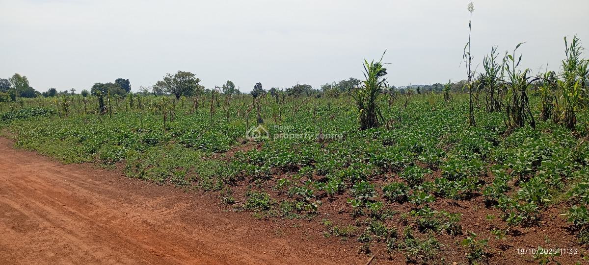 20 Hectares Land Banking Mixed Used Land, Karshi , Nasarawa, Karu, Nasarawa, Mixed-use Land for Sale