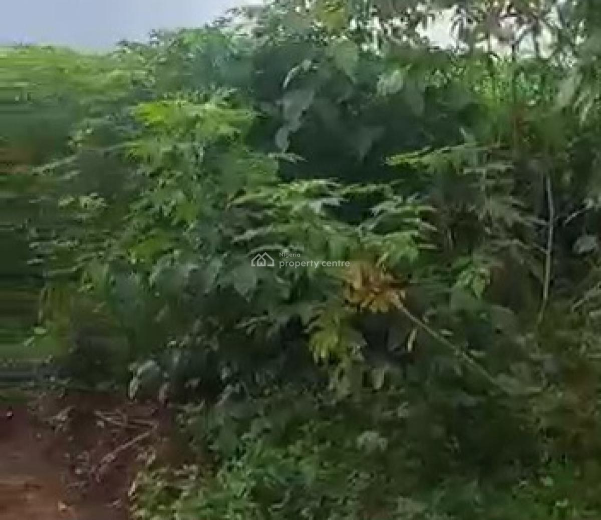 100ft By 200ft Land, Aruogba Community, Off Airport Road Gra, Benin, Oredo, Edo, Land for Sale