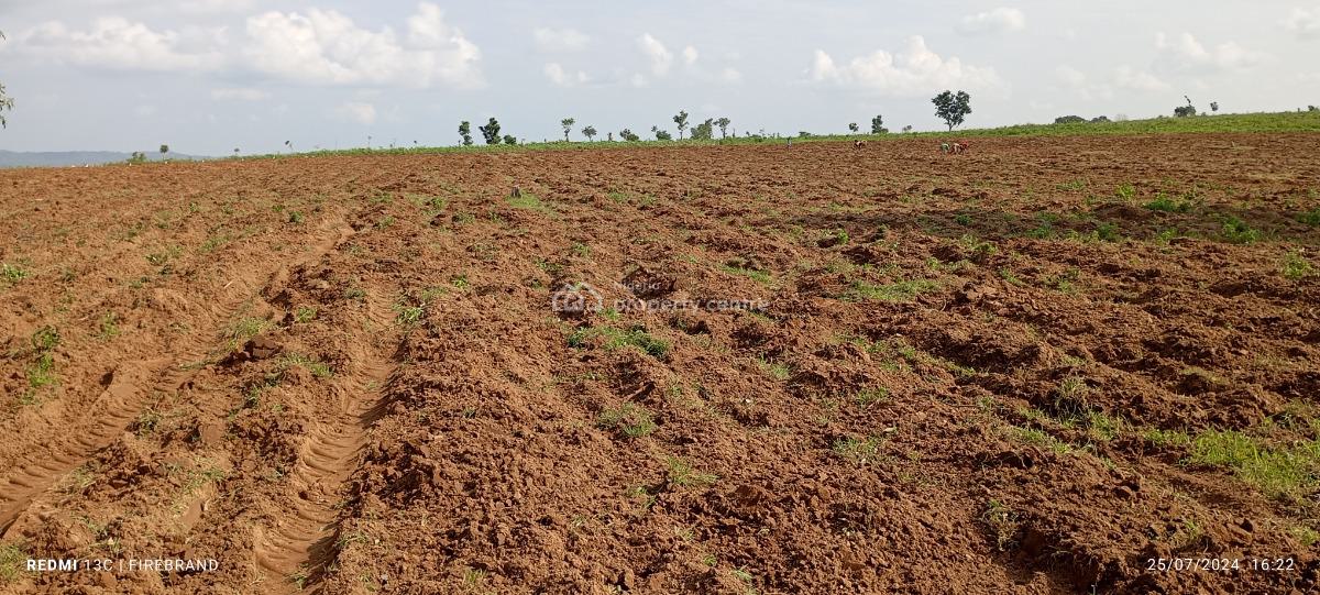 10 Hectares Farm Land Very Close to The Express Is Available, Karu, Nasarawa, Commercial Land for Sale