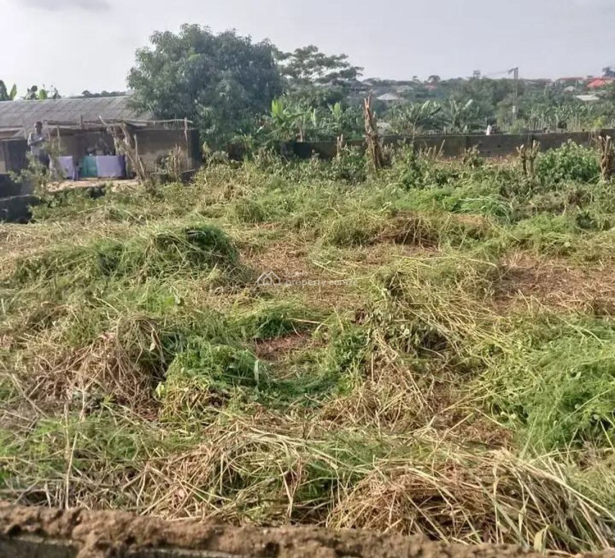 Land Measuring 50 Hectares with C of O, Beside Caleb University, Ibeju Lekki, Lagos, Mixed-use Land for Sale