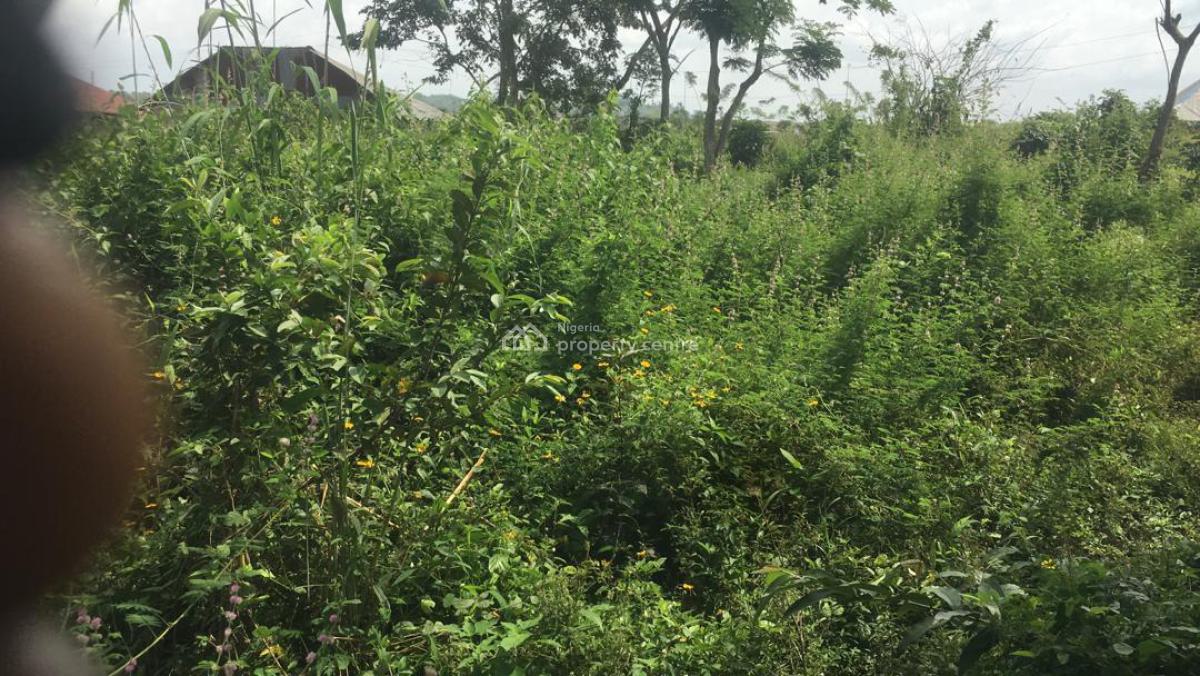 30 Acres of Land, Ologiri Village Omi Adio, Ibadan, Oyo, Mixed-use Land for Sale