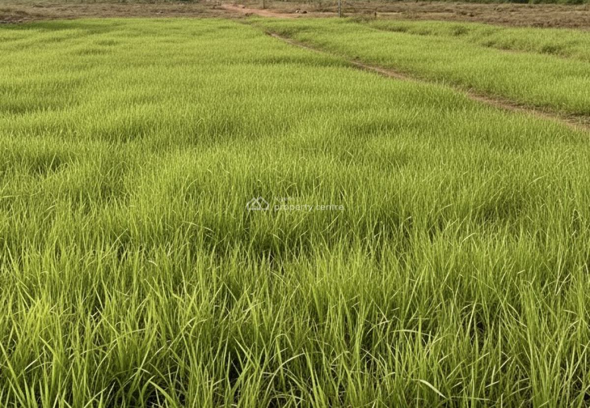 Land, Off Freedom Way, Lekki Phase 1, Lekki, Lagos, Residential Land Joint Venture