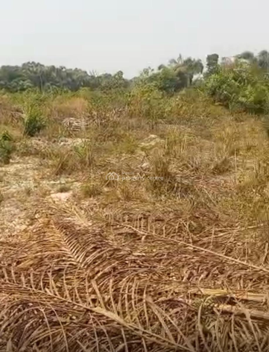 Acres of Dry Land, Elereangbe, Ibeju Lekki, Lagos, Mixed-use Land for Sale