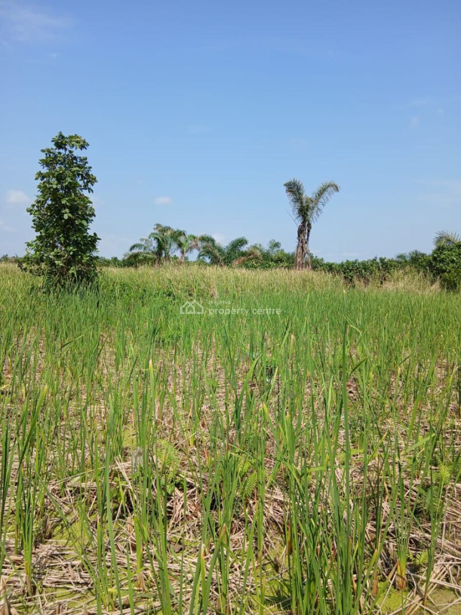 2 and a Half Plots of Land, Evang Samul Nurudeen, Ajah, Sangotedo, Ajah, Lagos, Residential Land for Sale