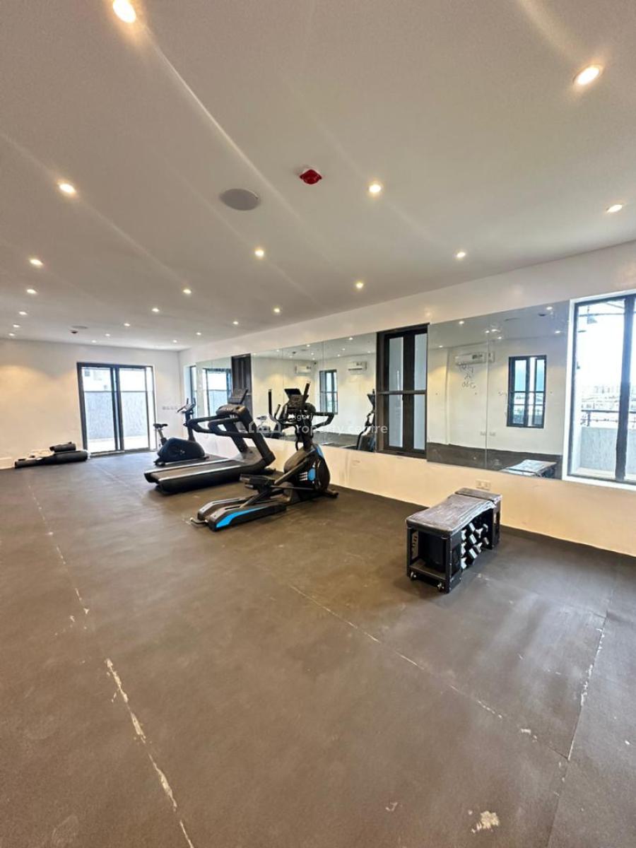 Smart Luxury 2 Bedroom Apartment with a Fully Equipped Gym, Elevator, Ikate, Lekki, Lagos, Flat / Apartment for Sale